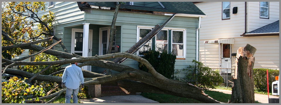 wind damage